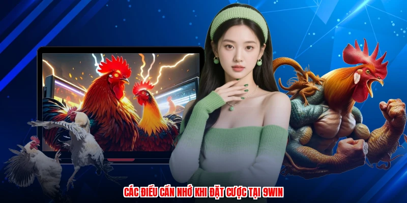 Các điều cần nhớ khi đặt cược tại 9WIN