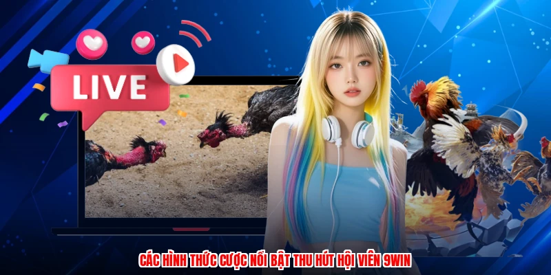 Các hình thức cược nổi bật thu hút hội viên 9WIN