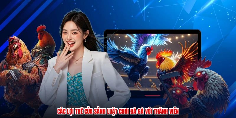 Các lợi thế của sảnh luật chơi đá gà với thành viên