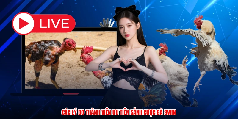 Các lý do thành viên ưu tiên sảnh cược gà 9WIN