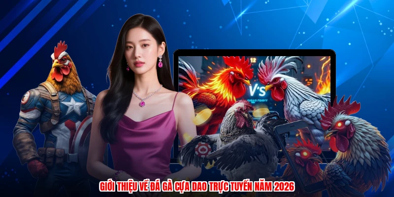 Giới thiệu về đá gà cựa dao trực tuyến năm 2026