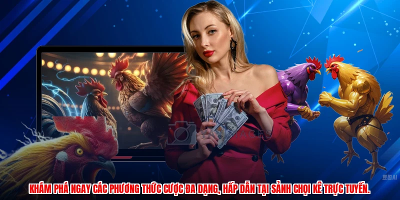 Khám phá ngay các phương thức cược đa dạng, hấp dẫn tại sảnh chọi kê trực tuyến.