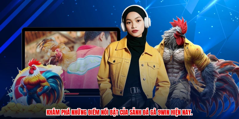 Khám phá những điểm nổi bật của sảnh đá gà 9WIN hiện nay.