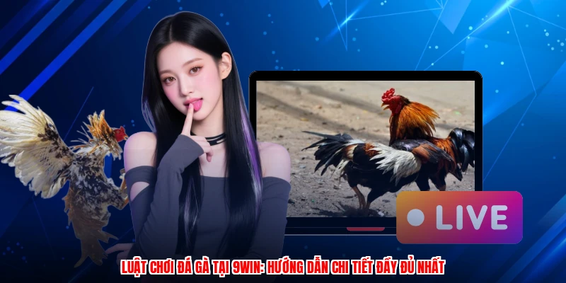 Luật Chơi Đá Gà Tại 9WIN: Hướng Dẫn Chi Tiết Đầy Đủ Nhất
