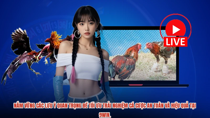 Nắm vững các lưu ý quan trọng để tối ưu trải nghiệm cá cược an toàn và hiệu quả tại 9WIN.