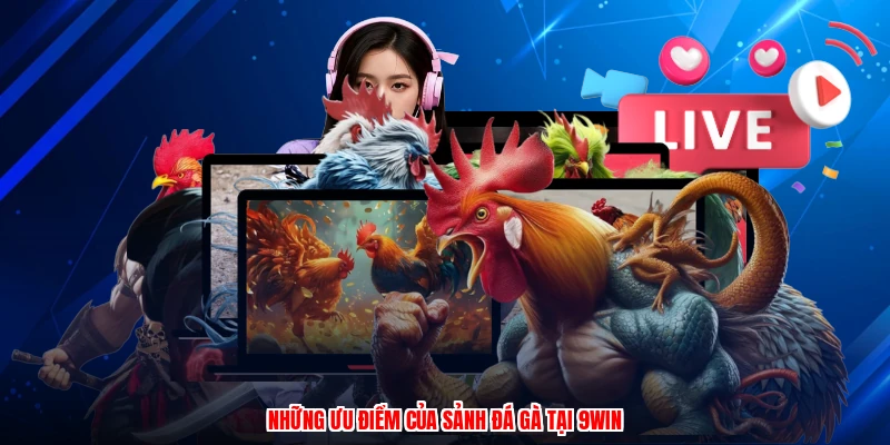 Những ưu điểm của sảnh đá gà tại 9WIN