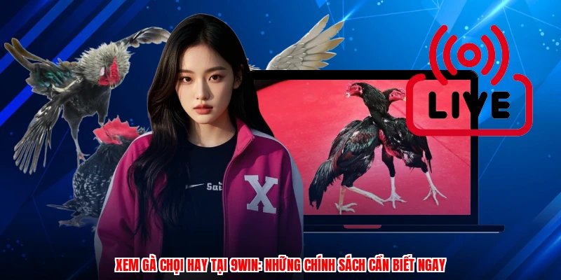 Xem Gà Chọi Hay Tại 9WIN: Những Chính Sách Cần Biết Ngay